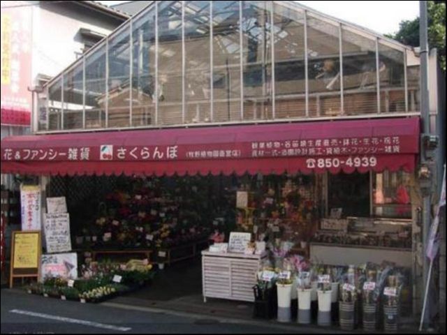 牧野植物園 さくらんぼの画像1