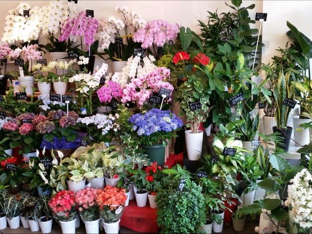 Flower&Green コウダ花店の画像4